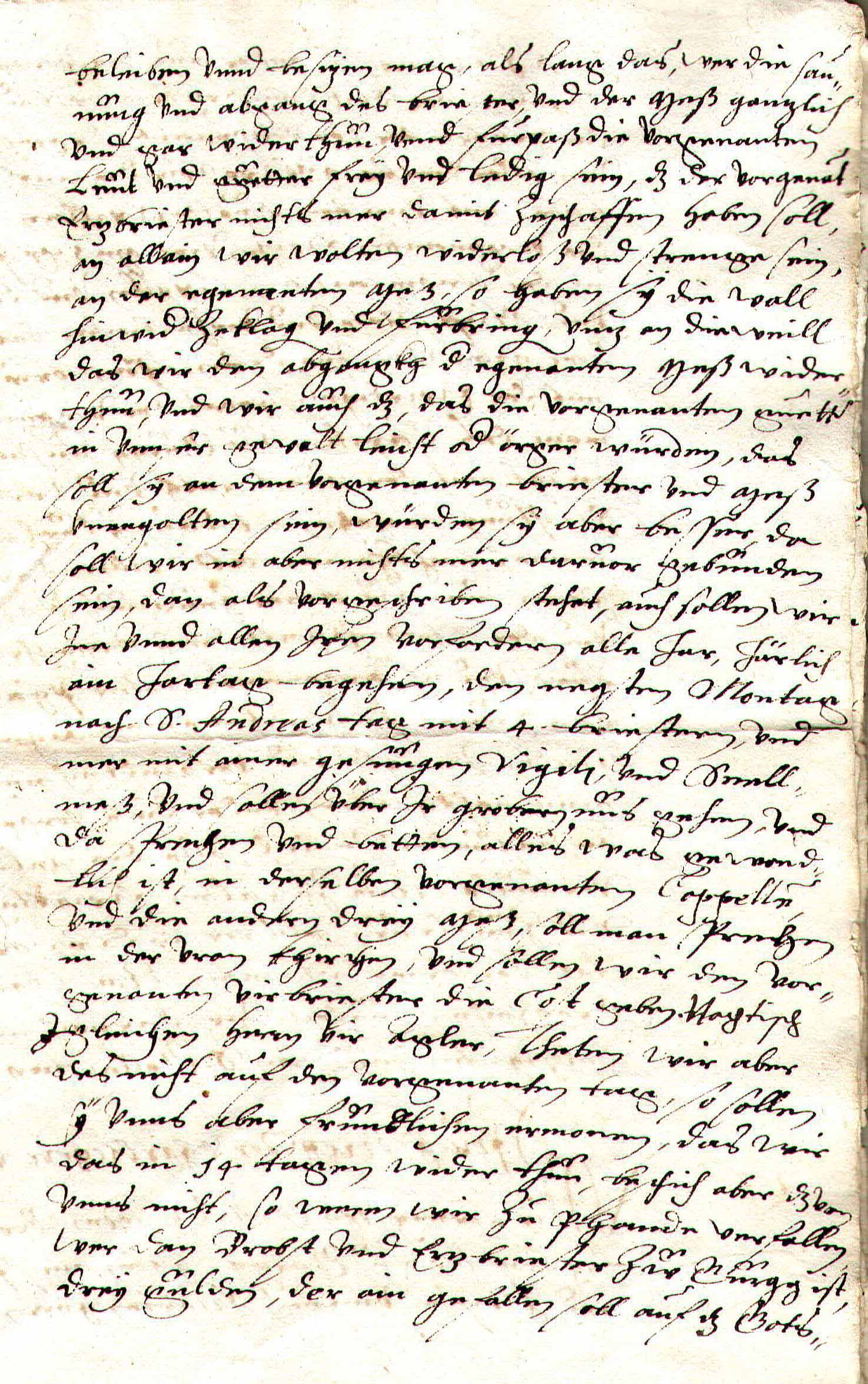 Steuerberg 7A_C7.jpg